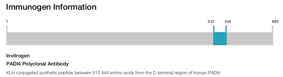PADI4 Polyclonal Antibody