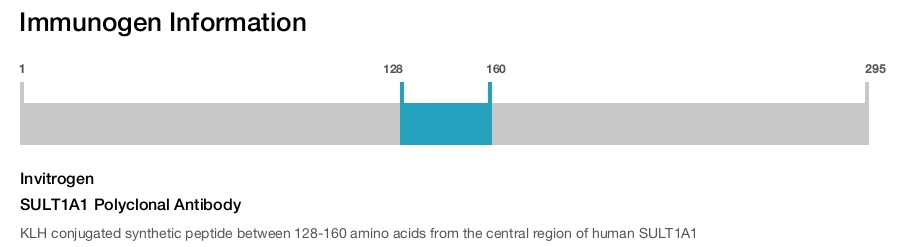 SULT1A1 Polyclonal Antibody