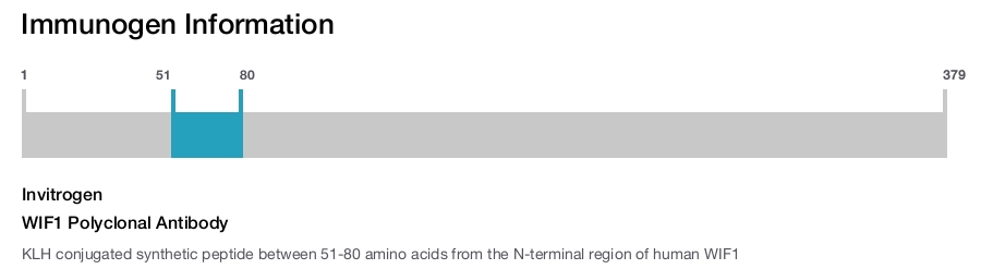 WIF1 Polyclonal Antibody