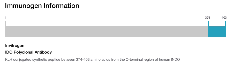 IDO Polyclonal Antibody