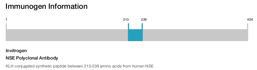 NSE Polyclonal Antibody