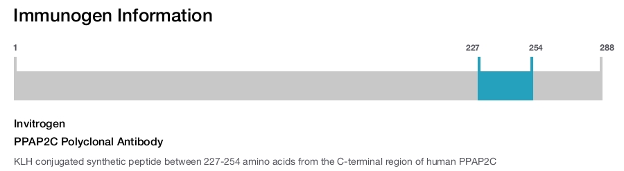 PPAP2C Polyclonal Antibody
