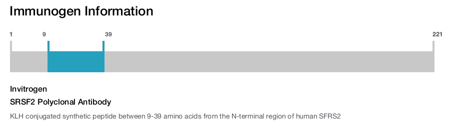 SRSF2 Polyclonal Antibody