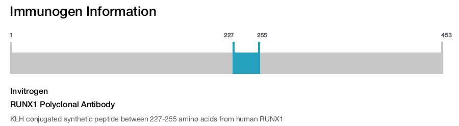 RUNX1 Polyclonal Antibody