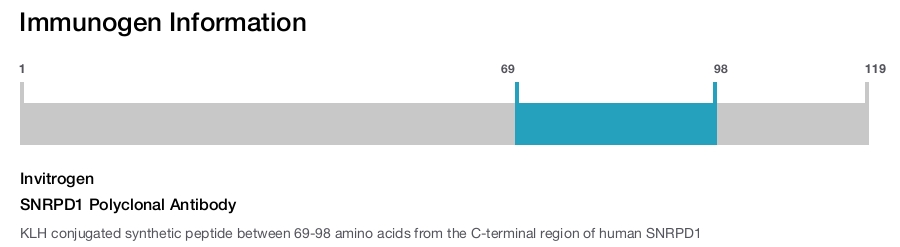 SNRPD1 Polyclonal Antibody