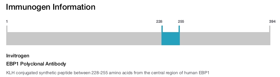 EBP1 Polyclonal Antibody