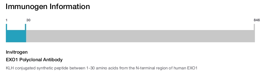 EXO1 Polyclonal Antibody