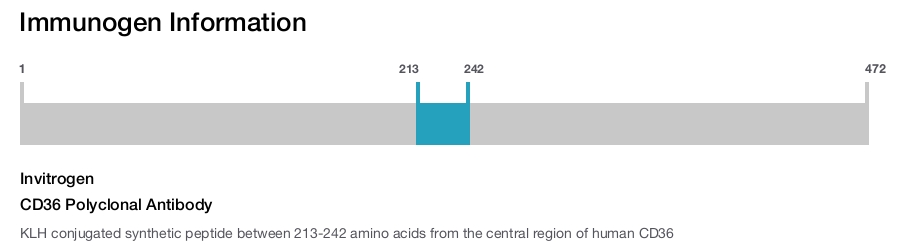 CD36 Polyclonal Antibody
