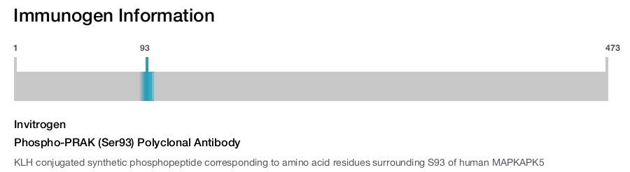 Phospho-PRAK (Ser93) Polyclonal Antibody