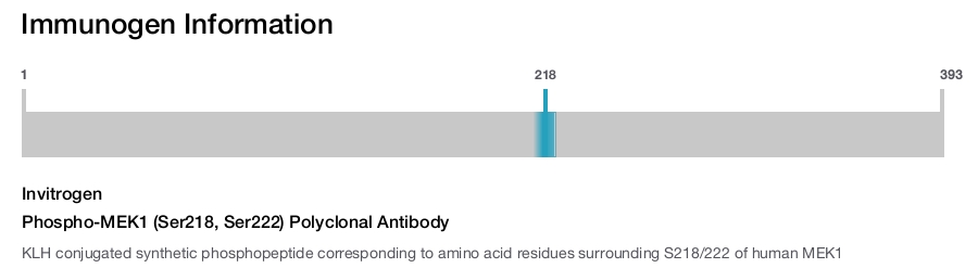 Phospho-MEK1 (Ser218, Ser222) Polyclonal Antibody