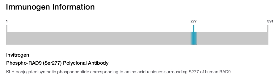 Phospho-RAD9 (Ser277) Polyclonal Antibody