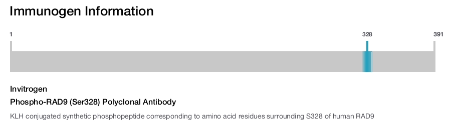 Phospho-RAD9 (Ser328) Polyclonal Antibody