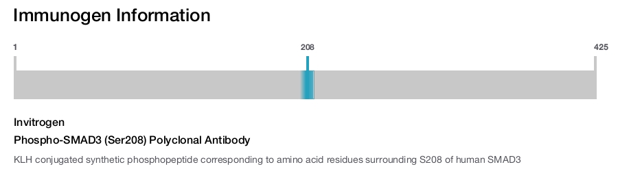 Phospho-SMAD3 (Ser208) Polyclonal Antibody