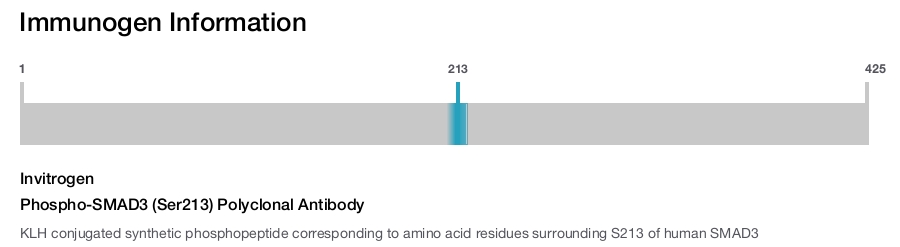 Phospho-SMAD3 (Ser213) Polyclonal Antibody