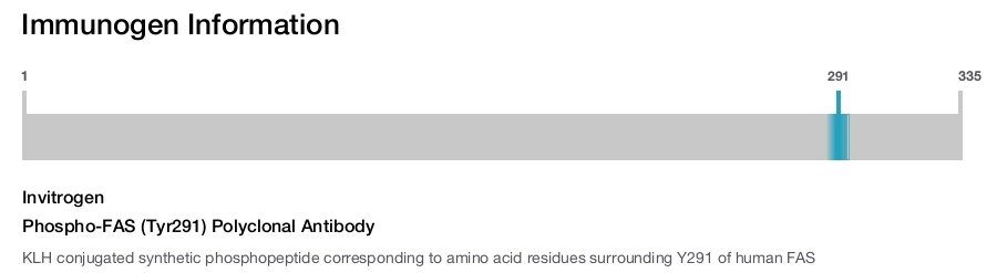 Phospho-FAS (Tyr291) Polyclonal Antibody