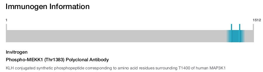 Phospho-MEKK1 (Thr1383) Polyclonal Antibody