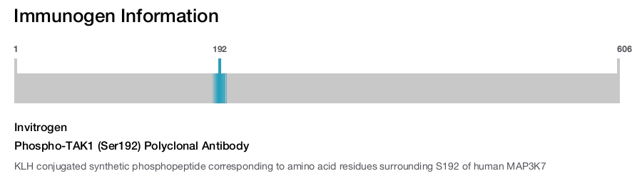 Phospho-TAK1 (Ser192) Polyclonal Antibody