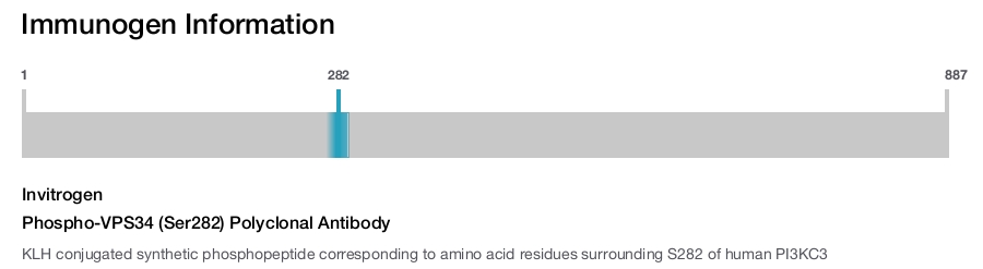 Phospho-VPS34 (Ser282) Polyclonal Antibody