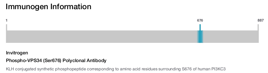 Phospho-VPS34 (Ser676) Polyclonal Antibody