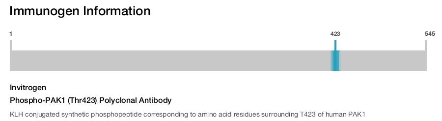 Phospho-PAK1 (Thr423) Polyclonal Antibody