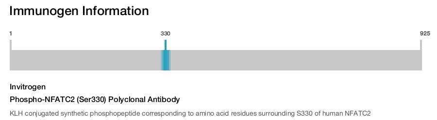Phospho-NFATC2 (Ser330) Polyclonal Antibody