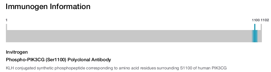 Phospho-PIK3CG (Ser1100) Polyclonal Antibody