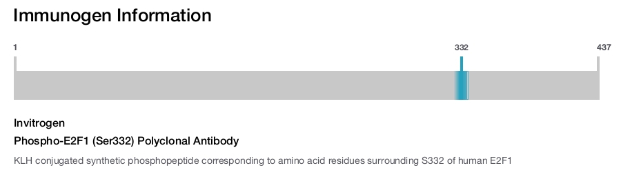 Phospho-E2F1 (Ser332) Polyclonal Antibody