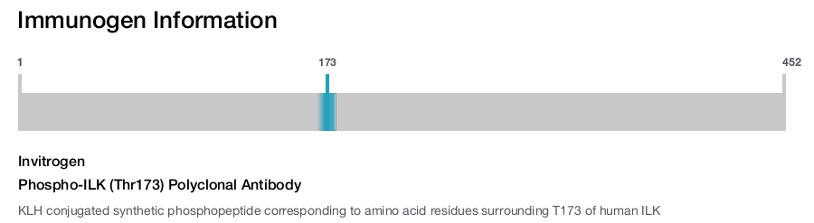 Phospho-ILK (Thr173) Polyclonal Antibody