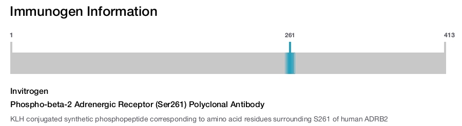 Phospho-beta-2 Adrenergic Receptor (Ser261) Polyclonal Antibody