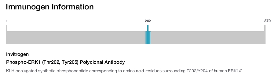 Phospho-ERK1 (Thr202, Tyr205) Polyclonal Antibody