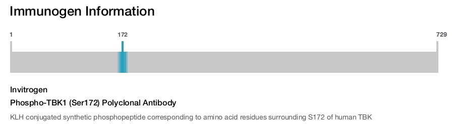 Phospho-TBK1 (Ser172) Polyclonal Antibody