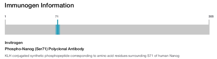 Phospho-Nanog (Ser71) Polyclonal Antibody