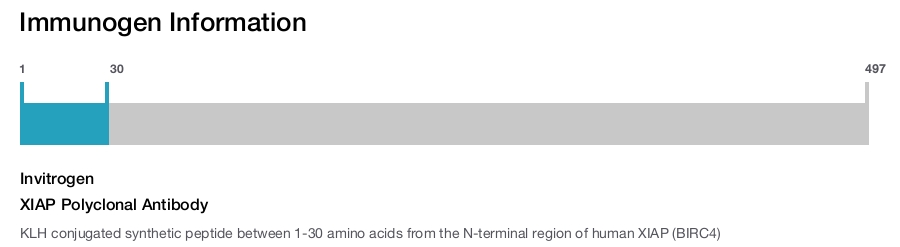 XIAP Polyclonal Antibody