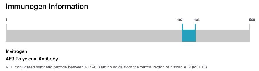 AF9 Polyclonal Antibody