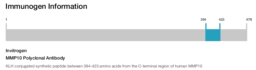 MMP10 Polyclonal Antibody