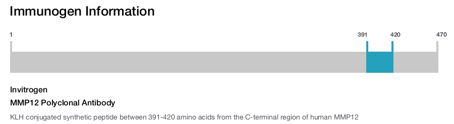 MMP12 Polyclonal Antibody