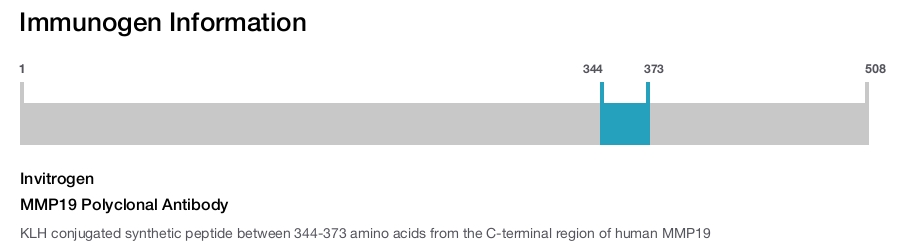 MMP19 Polyclonal Antibody