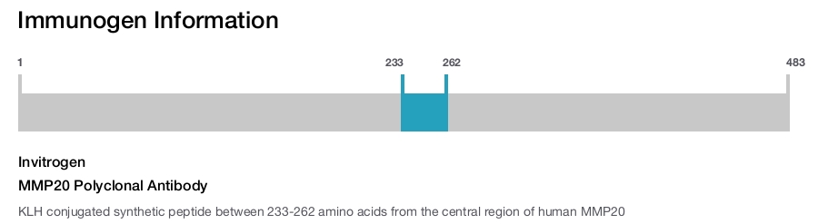MMP20 Polyclonal Antibody