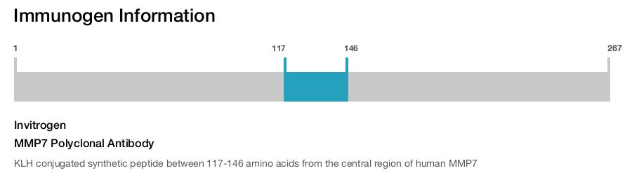 MMP7 Polyclonal Antibody