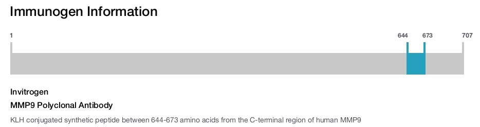 MMP9 Polyclonal Antibody