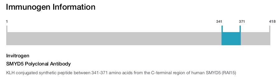 SMYD5 Polyclonal Antibody
