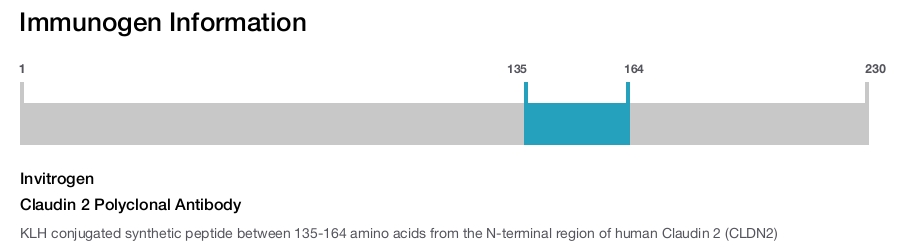 Claudin 2 Polyclonal Antibody
