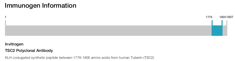 TSC2 Polyclonal Antibody