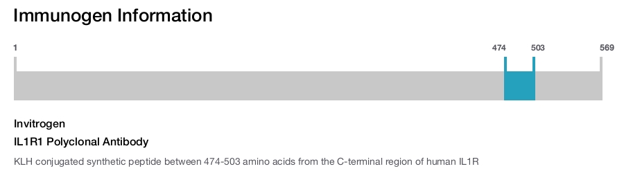 IL1R1 Polyclonal Antibody