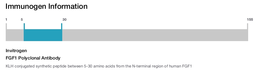 FGF1 Polyclonal Antibody