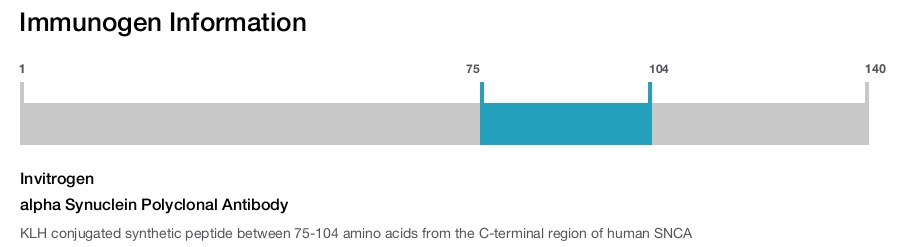 alpha Synuclein Polyclonal Antibody