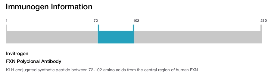 FXN Polyclonal Antibody