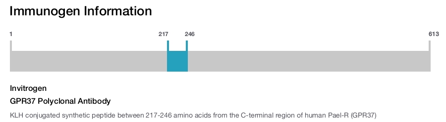 GPR37 Polyclonal Antibody