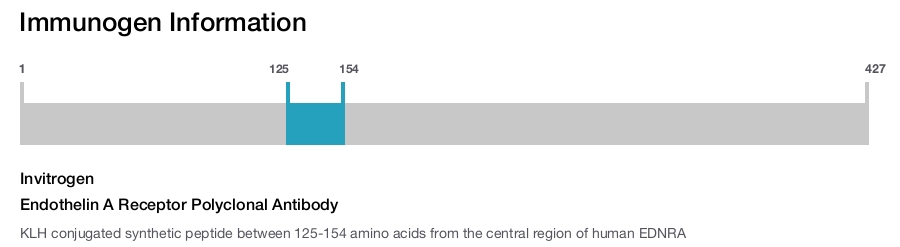 Endothelin A Receptor Polyclonal Antibody
