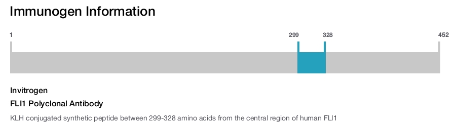 FLI1 Polyclonal Antibody